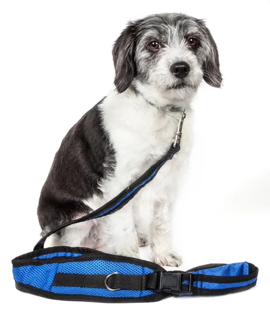 Pet Life Echelon Hands Free And Convertible 2-In-1 Training Dog Leash And Pet Belt With Pouch
Pet Life Echelon Hands Free And Convertible 2-In-1 Training Dog Leash And Pet Belt With Pouch