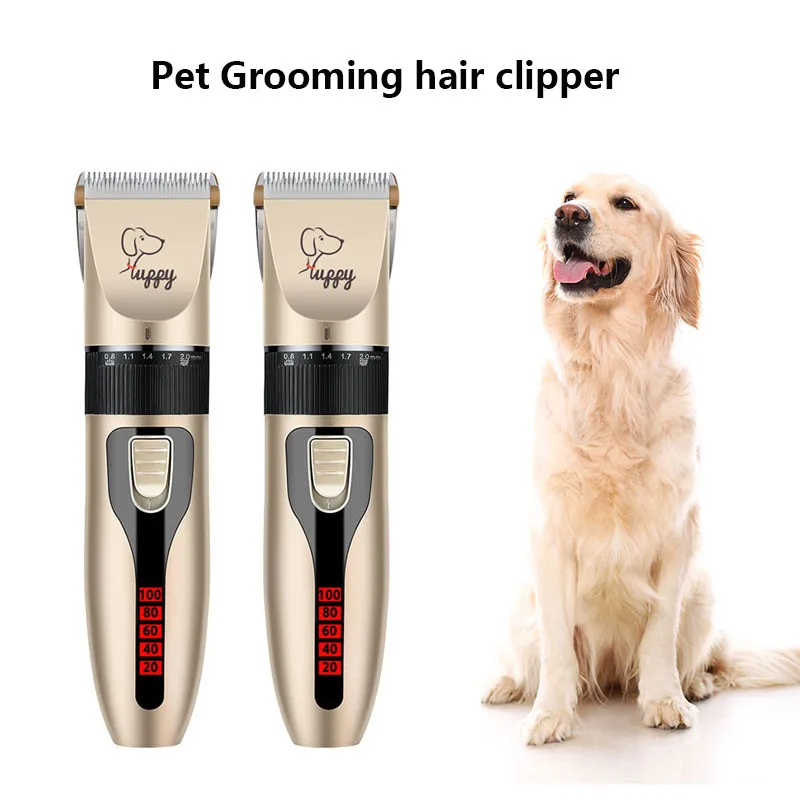 Electric Rabbit Cat Dog Pet Hair Clipper Grooming Kit USB Rechargeable Pet Hair Trimmer Shaver Set Teddy Animal Hair Cut Machine
Electric Rabbit Cat Dog Pet Hair Clipper Grooming Kit USB Rechargeable Pet Hair Trimmer Shaver Set Teddy Animal Hair Cut Machine