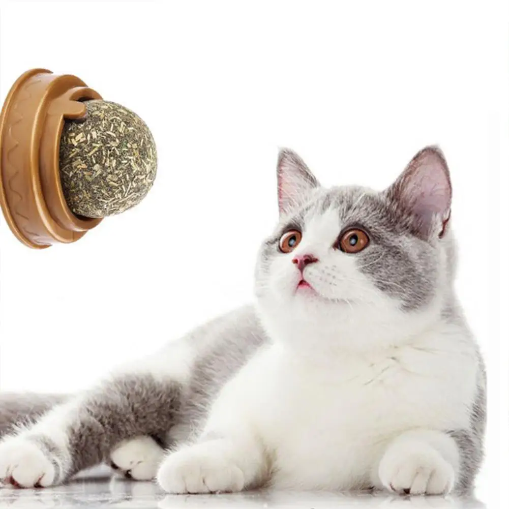 Rotating Natural Catnip Ball Molars Cleans Teeth Bites Catnip Balls Healthy Promote Digestion Cat Grass Snack
Rotating Natural Catnip Ball Molars Cleans Teeth Bites Catnip Balls Healthy Promote Digestion Cat Grass Snack
