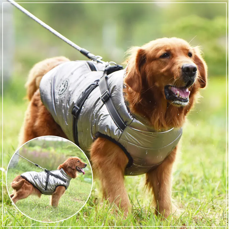 Large Pet Dog Jacket With Harness Winter Warm Dog Clothes For Labrador Waterproof Big Dog Coat Chihuahua French Bulldog Outfits
Large Pet Dog Jacket With Harness Winter Warm Dog Clothes For Labrador Waterproof Big Dog Coat Chihuahua French Bulldog Outfits