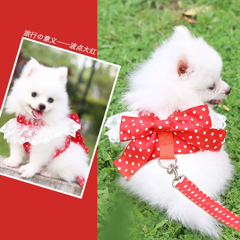 Lace Dot Soft Dog Harness For Dogs Small Vest And Leash Set Collar Perro Cute Pets Cats Dog Dress Clothes Adjustable Chest Strap
Lace Dot Soft Dog Harness For Dogs Small Vest And Leash Set Collar Perro Cute Pets Cats Dog Dress Clothes Adjustable Chest Strap
