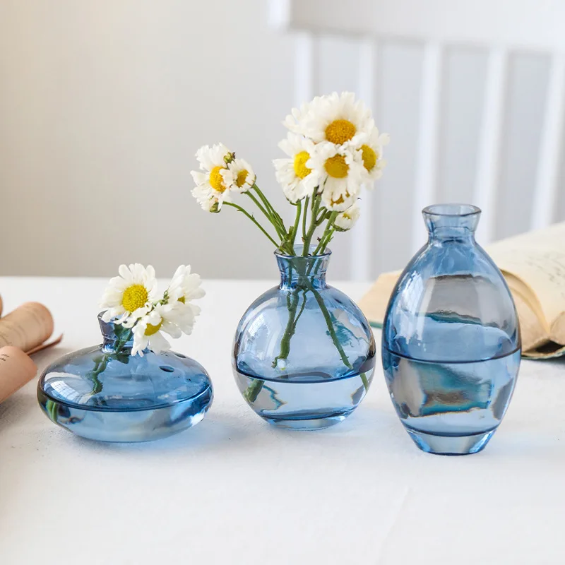 

Ins Flower Bottle Nordic Glass Flower Vase Transparent Hydroponic Vase Glass Bottle for Flowers Desktop Decoration אגרטל זכוכית