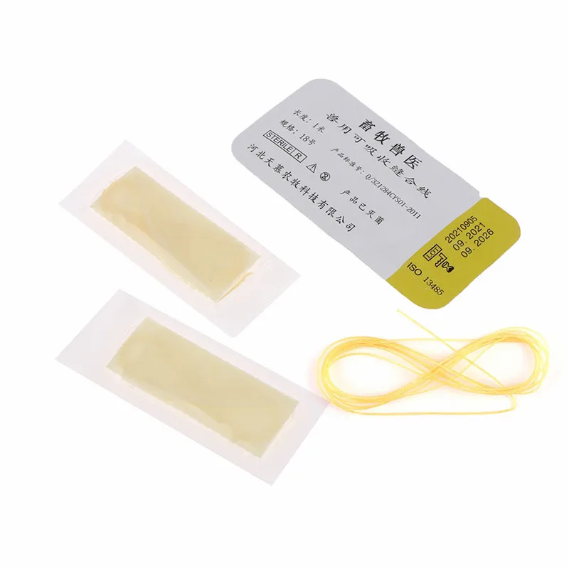 1 пакет/1 м, абсорбируемая нить для швов, ветеринарный протеин из нержавеющей стали, коллаген, кетгут, свинья, крупный рогатого скота, корова, ...
1 пакет/1 м, абсорбируемая нить для швов, ветеринарный протеин из нержавеющей стали, коллаген, кетгут, свинья, крупный рогатого скота, корова, ...