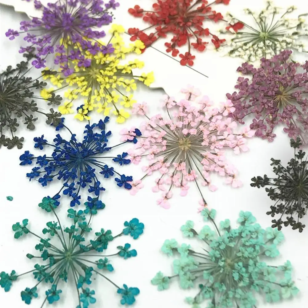 Snowdrop Dried Pressed Flowers For Resin Molds Real Pressed Flowers Dry Leaves Bulk Natural Herbs Kit For Spbook Diy A5x1
Snowdrop Dried Pressed Flowers For Resin Molds Real Pressed Flowers Dry Leaves Bulk Natural Herbs Kit For Spbook Diy A5x1