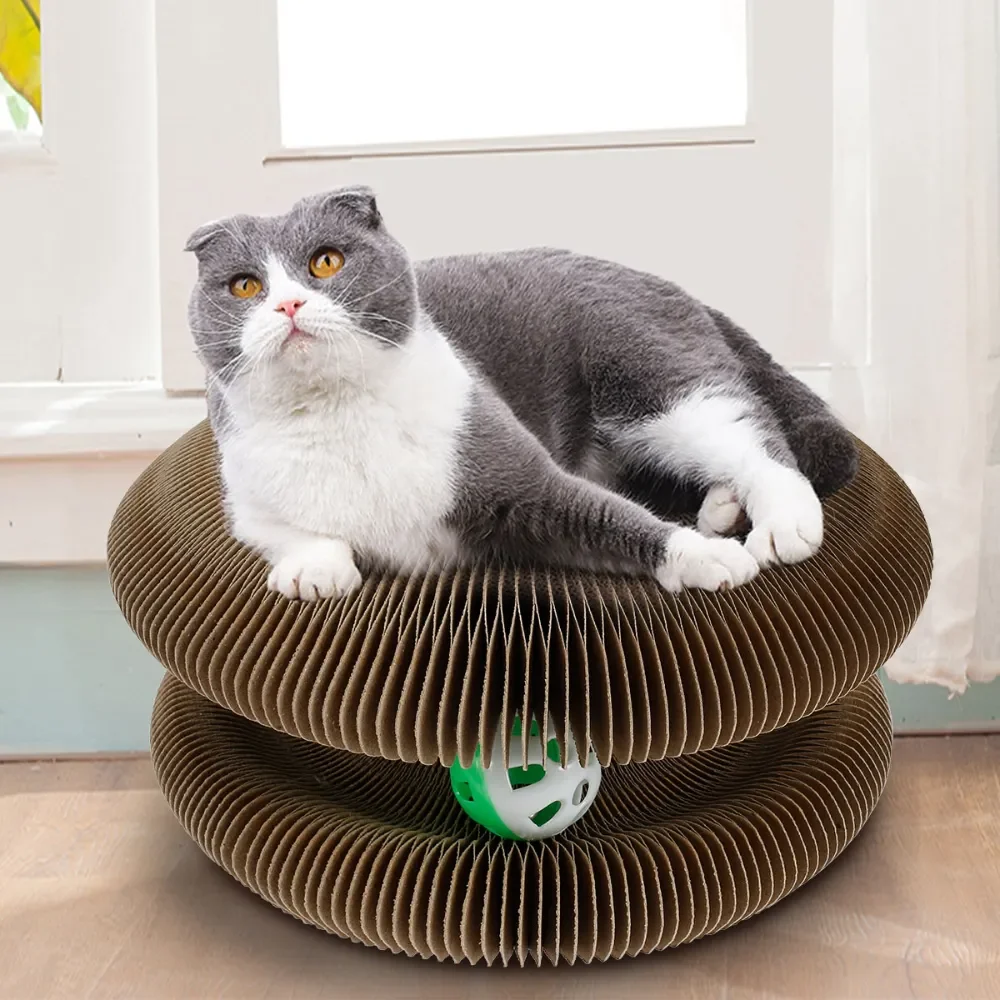 Foldable Magic Organ Cat Scratching Board Funny Toy Grinding Claw Scratching Boards Sleeping Bed Thickened Cat Interactive Toys
Foldable Magic Organ Cat Scratching Board Funny Toy Grinding Claw Scratching Boards Sleeping Bed Thickened Cat Interactive Toys