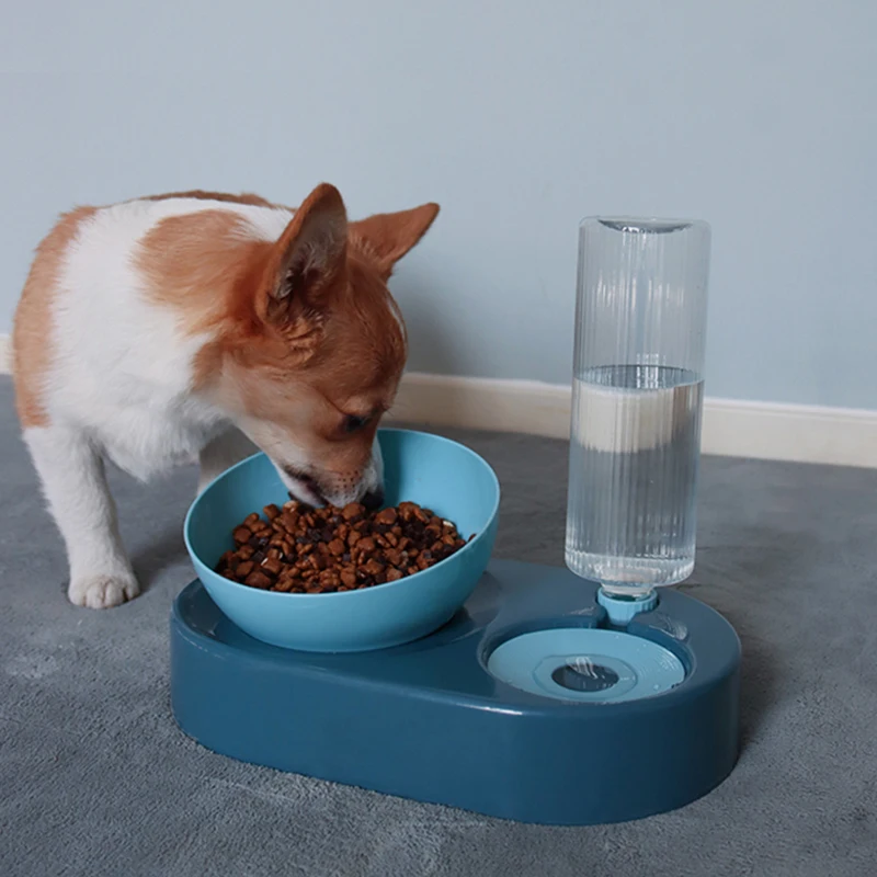 Cat Bowl Dog Bowl With Raised Stand Pet Supplies Cat Water Bowl For Cat Food Bowls For Dog Feeder Pet Products Pet bowl Double
Cat Bowl Dog Bowl With Raised Stand Pet Supplies Cat Water Bowl For Cat Food Bowls For Dog Feeder Pet Products Pet bowl Double