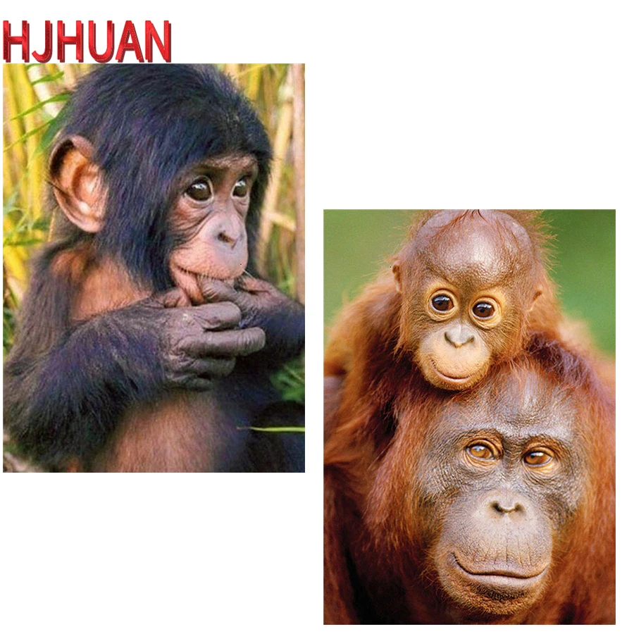 5D алмазная живопись «сделай сам», алмазная вышивка, обезьяна, животное, Набор для вышивки крестиком, полная вышивка, мозаичные картины, пода... 
5D алмазная живопись «сделай сам», алмазная вышивка, обезьяна, животное, Набор для вышивки крестиком, полная вышивка, мозаичные картины, пода...