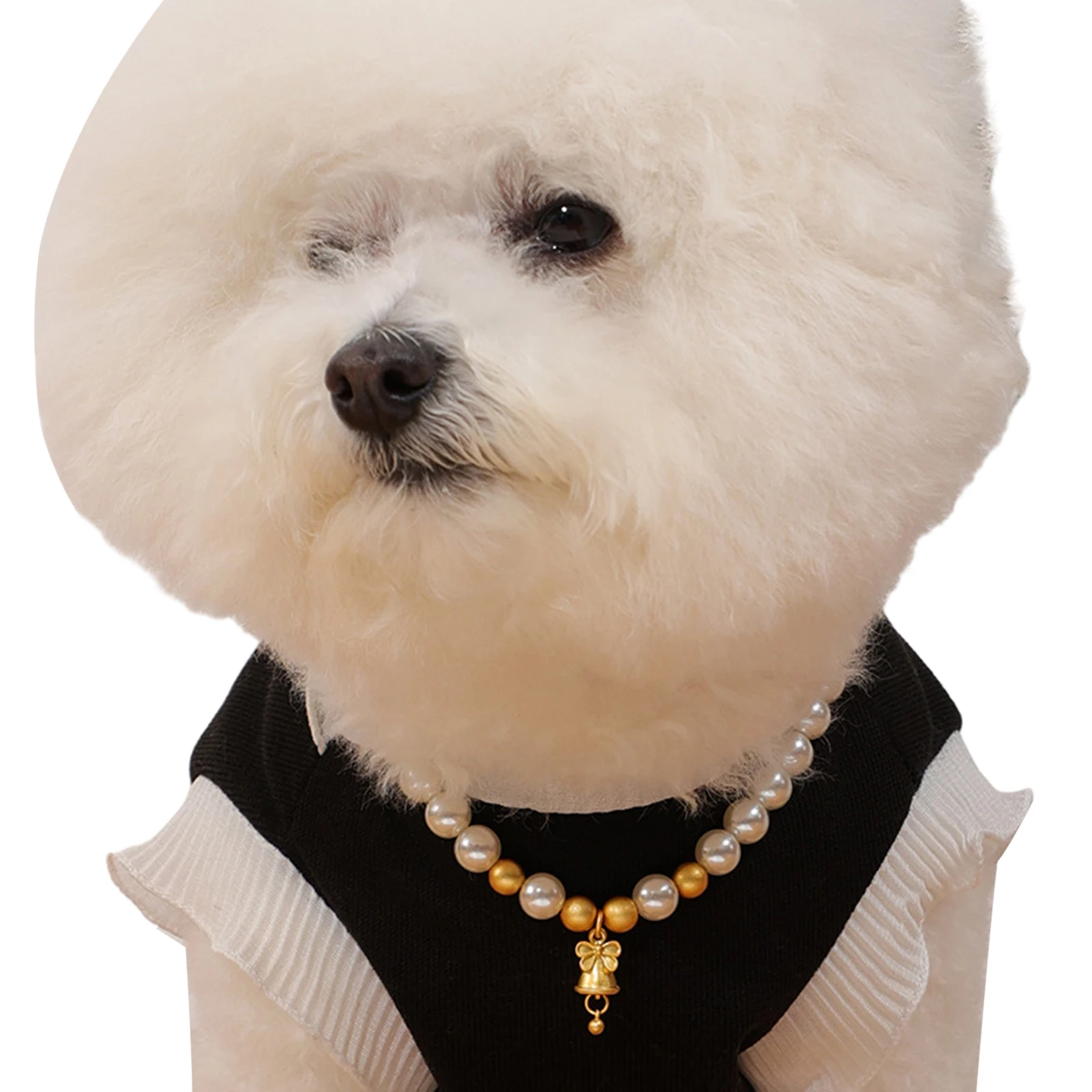 Cute Cat Pet Pearl Necklace Jewelry Bell Cats Collar Pet Supplies Adjustable Pet Collar Accessories Puppy Kitten Pendant Gifts
Cute Cat Pet Pearl Necklace Jewelry Bell Cats Collar Pet Supplies Adjustable Pet Collar Accessories Puppy Kitten Pendant Gifts