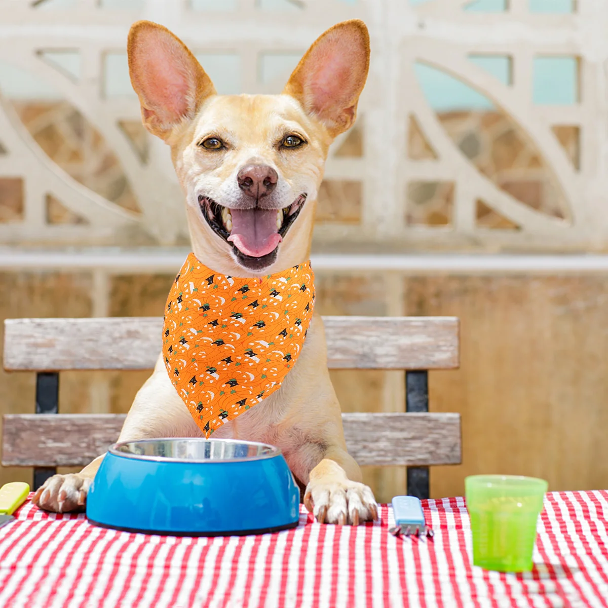 4PCS Bib Scarf Party Accessory Neckerchief Pets Bandana for Dogs Pets
4PCS Bib Scarf Party Accessory Neckerchief Pets Bandana for Dogs Pets