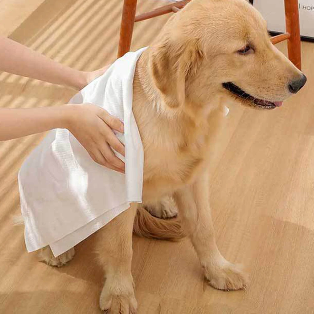 10PCS Non-woven Fabric Pet Towel Bath Absorbent Towel Soft Lint-free Dogs Cats Bath Towels Absorbent Quick Small Thick Towel
10PCS Non-woven Fabric Pet Towel Bath Absorbent Towel Soft Lint-free Dogs Cats Bath Towels Absorbent Quick Small Thick Towel