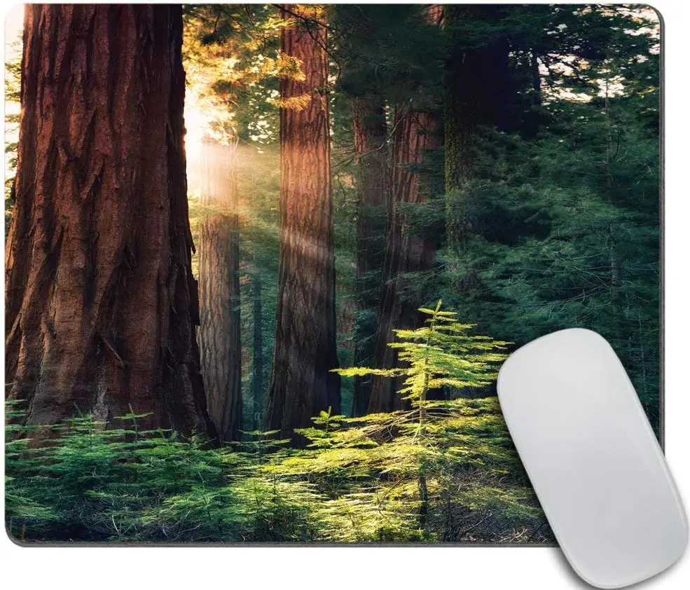Yosemite National Park Mouse Pad Cute Mouse Pad Washable Non-Slip Rubber Mice Pads 9.5x7.9 Inch for Laptop Office Computer
Yosemite National Park Mouse Pad Cute Mouse Pad Washable Non-Slip Rubber Mice Pads 9.5x7.9 Inch for Laptop Office Computer