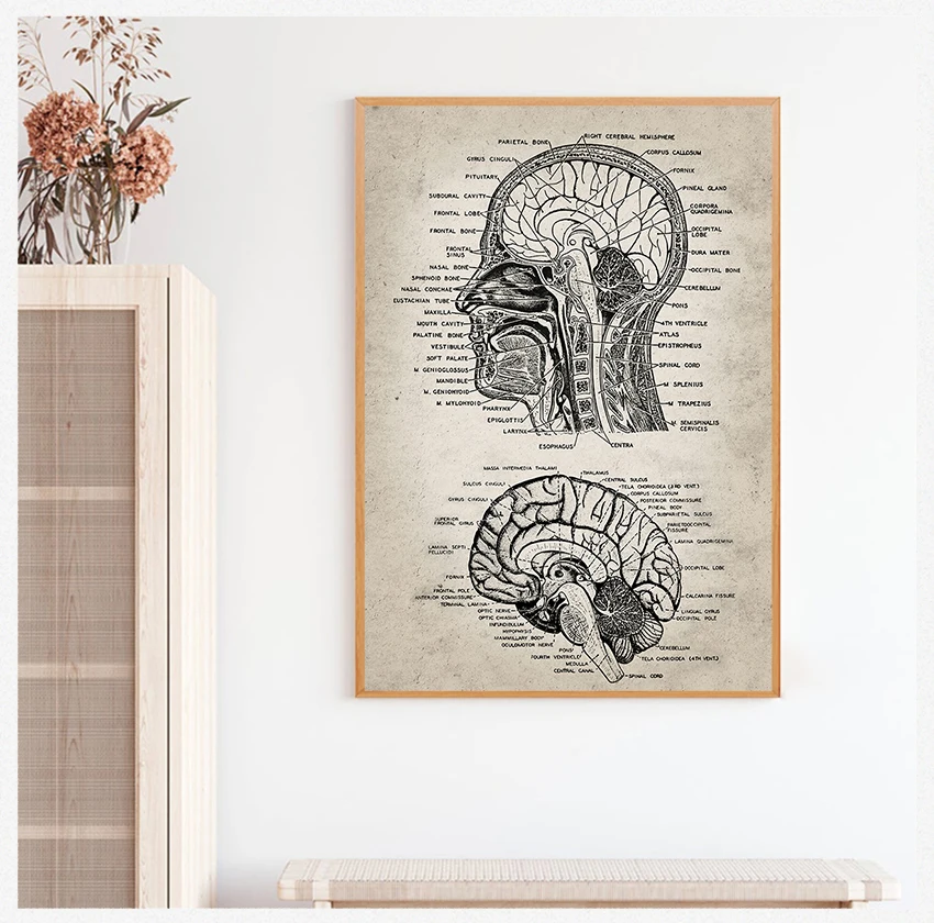 Компьютерная живопись на холсте, врачи, голова человека
Компьютерная живопись на холсте, врачи, голова человека