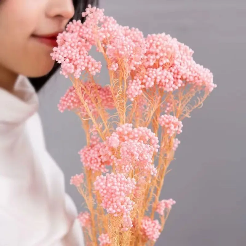 50g Natural Millet Fruit Dried Flower Garden Decoration Outdoor Wedding Decoration Artificial Flower Christmas Ornaments On Offe
50g Natural Millet Fruit Dried Flower Garden Decoration Outdoor Wedding Decoration Artificial Flower Christmas Ornaments On Offe