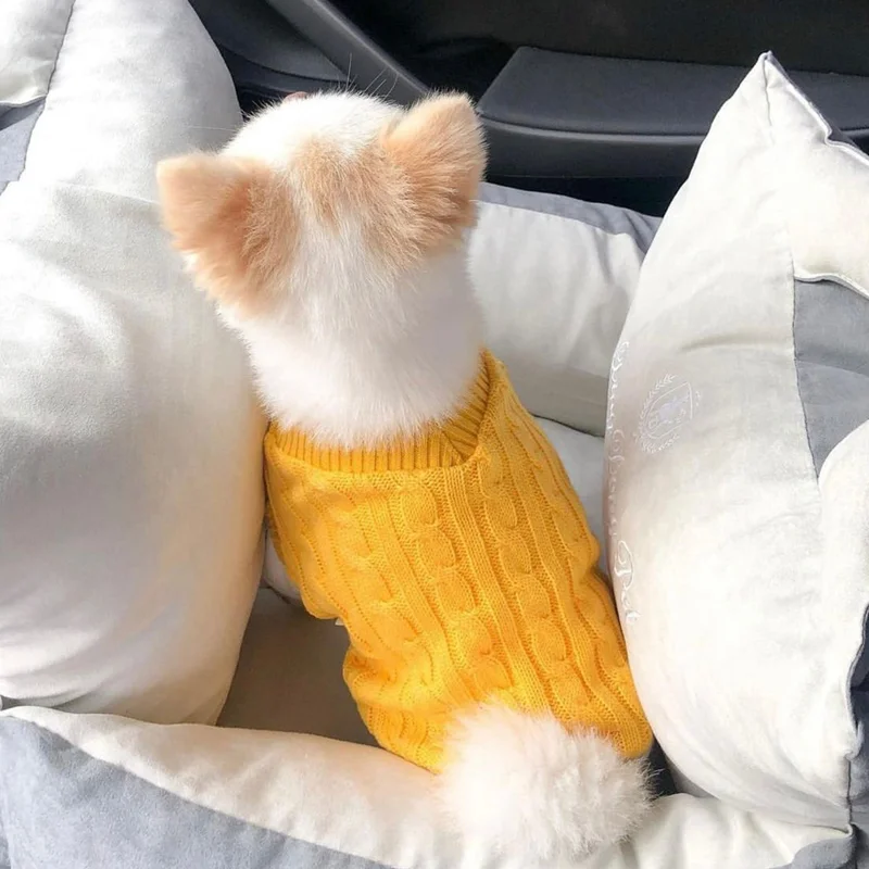 Pet Clothes Autumn Winter Medium Small Dog Knitted Sweater Solid Color Sweatshirt Kitten Puppy Pullover Warm Wool Chihuahua Pug
Pet Clothes Autumn Winter Medium Small Dog Knitted Sweater Solid Color Sweatshirt Kitten Puppy Pullover Warm Wool Chihuahua Pug