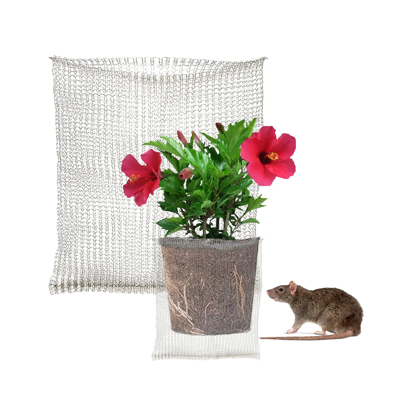 304 Stainless Steel Mesh Bag for Plant Root Protection Knitted Stainless Steel Mesh Gopher and Vole Protective Net
304 Stainless Steel Mesh Bag for Plant Root Protection Knitted Stainless Steel Mesh Gopher and Vole Protective Net