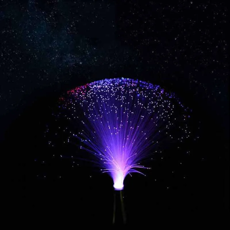 LED Fiber Optic Lantern Colorful Color-changing Fiber Optic Light Starry Wedding Party Decoration Light Atmosphere Light
LED Fiber Optic Lantern Colorful Color-changing Fiber Optic Light Starry Wedding Party Decoration Light Atmosphere Light
