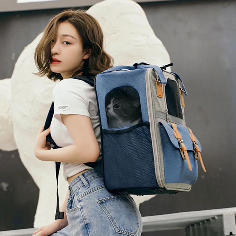 Fashion cat backpack cat bag out portable double shoulder cat case pet portable schoolbag large capacity summer Canvas Backpack
Fashion cat backpack cat bag out portable double shoulder cat case pet portable schoolbag large capacity summer Canvas Backpack