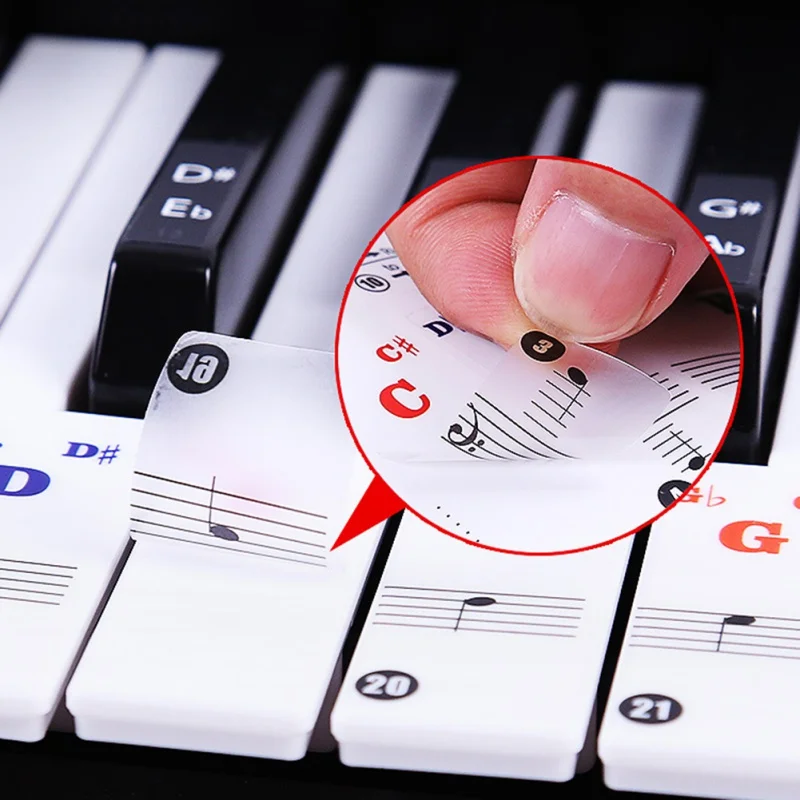 88/61 Key Color Piano Letter Notes Stickers Keyboard Hand Piano Keyboard Transparent Stickers Notation Transparent
88/61 Key Color Piano Letter Notes Stickers Keyboard Hand Piano Keyboard Transparent Stickers Notation Transparent