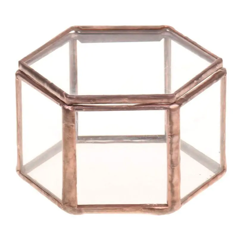 Geometric Glass Terrarium Box Jewelry Box Glass Succulent Plant Pot Deco Hexagon Shape
Geometric Glass Terrarium Box Jewelry Box Glass Succulent Plant Pot Deco Hexagon Shape