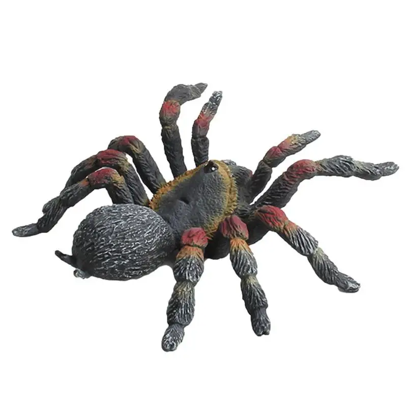 Halloween Spider Simulation Realistic Halloween Spider Toys Educational Toys For Kids To Stimulate Curiosity Halloween Gift For
Halloween Spider Simulation Realistic Halloween Spider Toys Educational Toys For Kids To Stimulate Curiosity Halloween Gift For