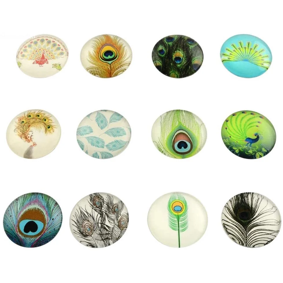 200pcs Colorful Mixed Feather Pattern Flatback Half Round/Dome Glass Cabochons for DIY Projects, 16x4mm 
200pcs Colorful Mixed Feather Pattern Flatback Half Round/Dome Glass Cabochons for DIY Projects, 16x4mm