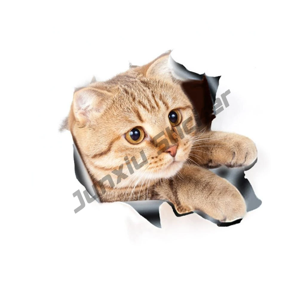 Funny Cat Car-Styling Vehicle Body Sticker Vinyl Stickers Water-resistant High Stickiness Bumper Decal Sunscreen KK16*14cm
Funny Cat Car-Styling Vehicle Body Sticker Vinyl Stickers Water-resistant High Stickiness Bumper Decal Sunscreen KK16*14cm