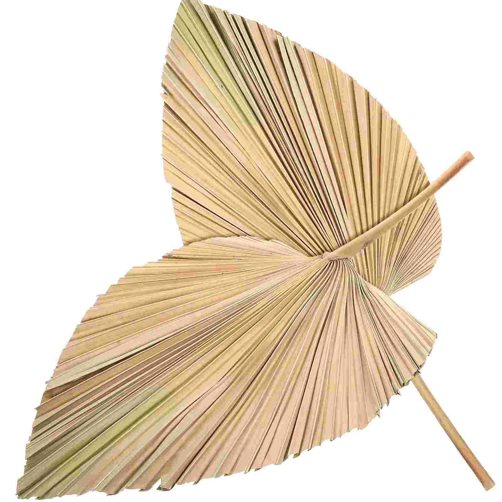 Palm Leaves Dried Decor Leaffan Tropical Fans Bohemian Stems Weddingarrangements Floral Flower Artificial Diyheart Dry
Palm Leaves Dried Decor Leaffan Tropical Fans Bohemian Stems Weddingarrangements Floral Flower Artificial Diyheart Dry