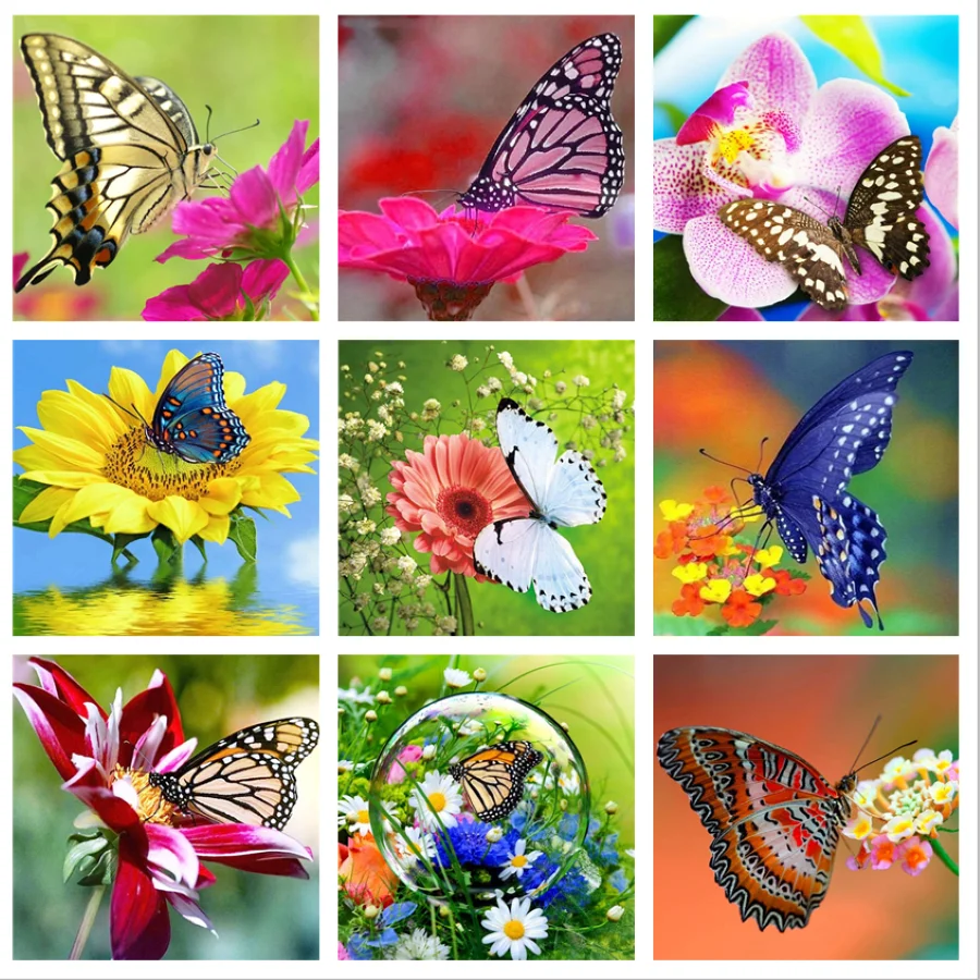 5D Diamond Painting "Animal butterfly DIY Full AB Drill Cross-stitch Kits Velvet canvas Square Round Diamond Embroidery
5D Diamond Painting "Animal butterfly DIY Full AB Drill Cross-stitch Kits Velvet canvas Square Round Diamond Embroidery
