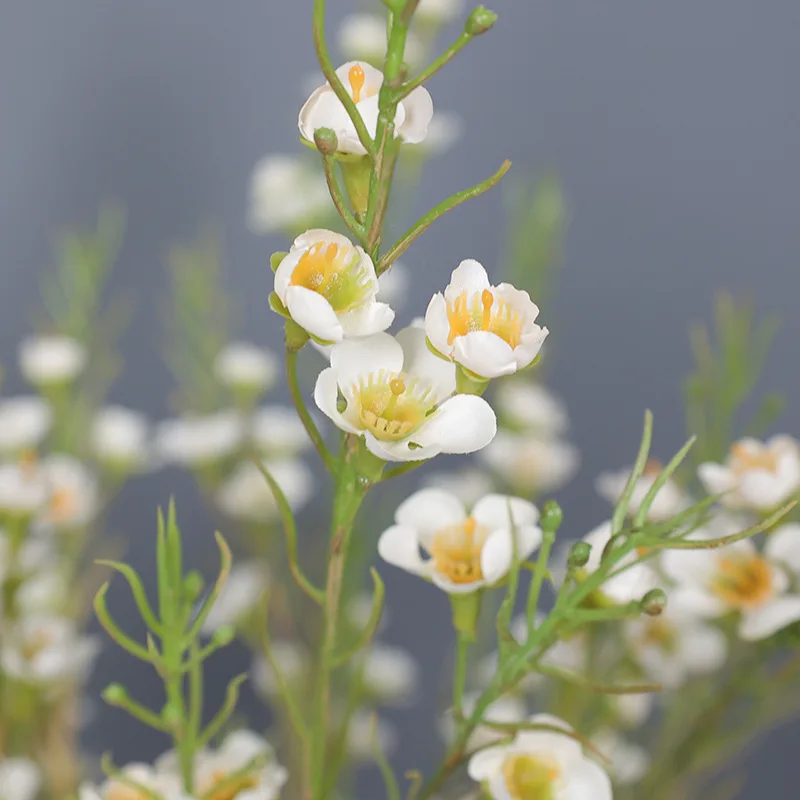 3pc Artificial Plum Blossom Flowers Silk Flores For Wedding Party Decor Fake Flower Home Decoration Accessories Photograph Props
3pc Artificial Plum Blossom Flowers Silk Flores For Wedding Party Decor Fake Flower Home Decoration Accessories Photograph Props