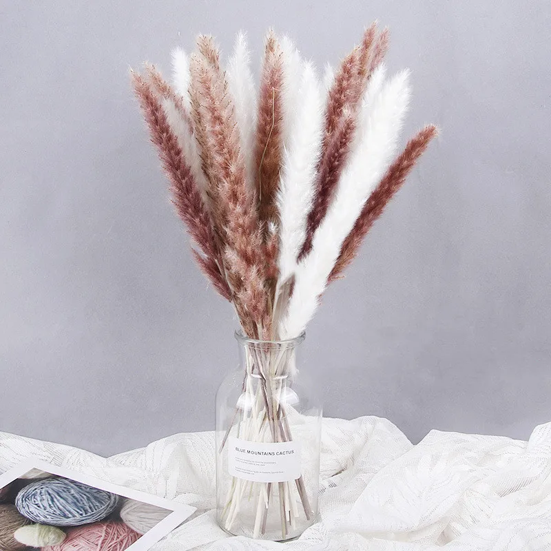 15PCS Pampas Grass Decor Fluffy Small Reeds Flowers Valentines Day Gift For Girlfriend Sunflower Party Decoration Artificial Pla
15PCS Pampas Grass Decor Fluffy Small Reeds Flowers Valentines Day Gift For Girlfriend Sunflower Party Decoration Artificial Pla