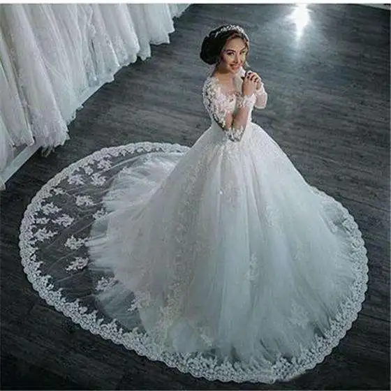Classic Scoop Neckline Lace Applique Ballgown Wedding Dresses Sweep Train Long Sleeves Illsion Back Bride Dresses 2022
Classic Scoop Neckline Lace Applique Ballgown Wedding Dresses Sweep Train Long Sleeves Illsion Back Bride Dresses 2022