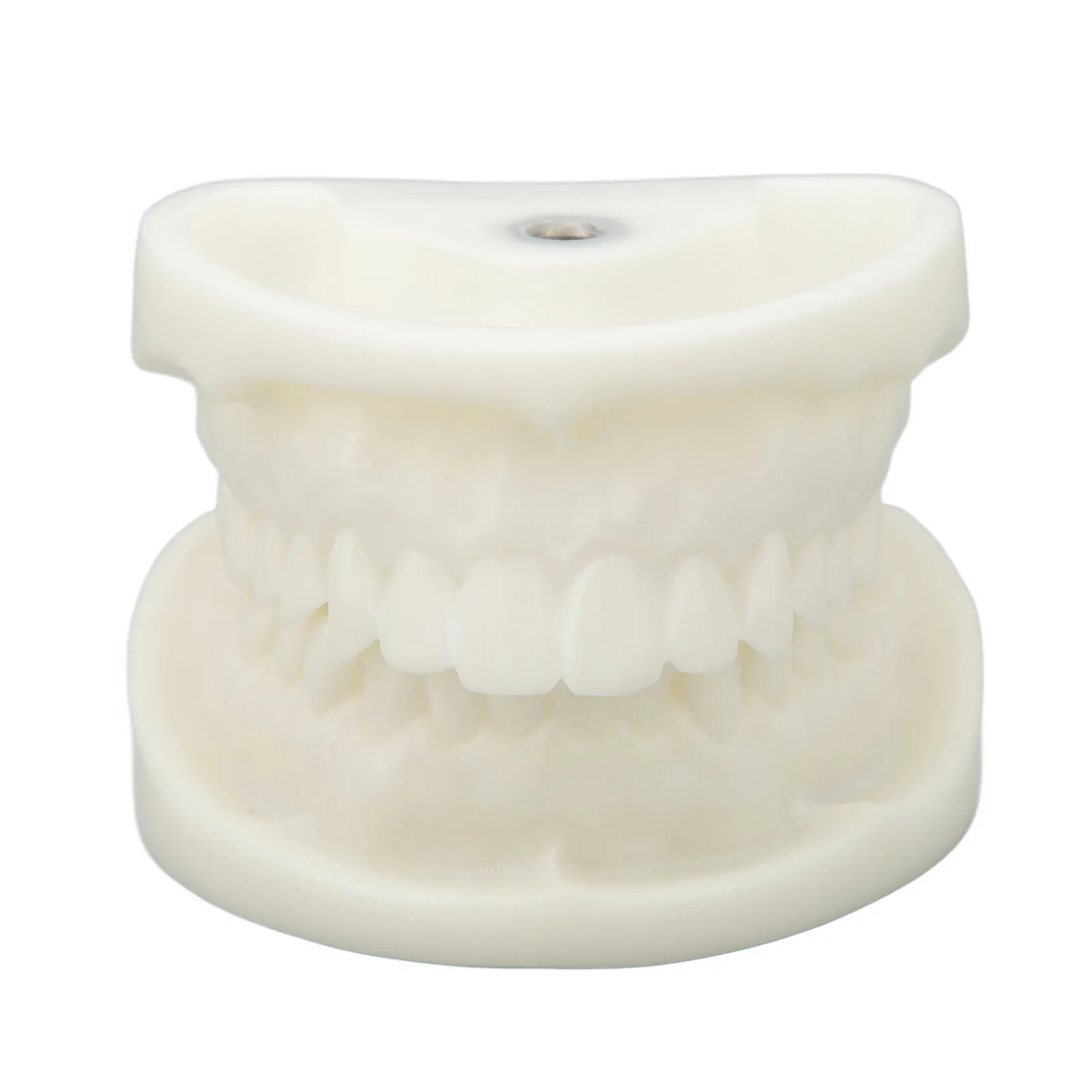Tooth Model Wear Resistant Educational White Dental Model Simulation White Corundum Long Lasting for School for Stomatologists
Tooth Model Wear Resistant Educational White Dental Model Simulation White Corundum Long Lasting for School for Stomatologists