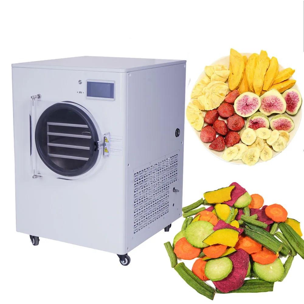 

Mini Vacuum Freeze Dryer Lyophilizer Multifunctional Food Dehydrator Vegetables Fruit Meat Pet Food Freeze Drying Machine
