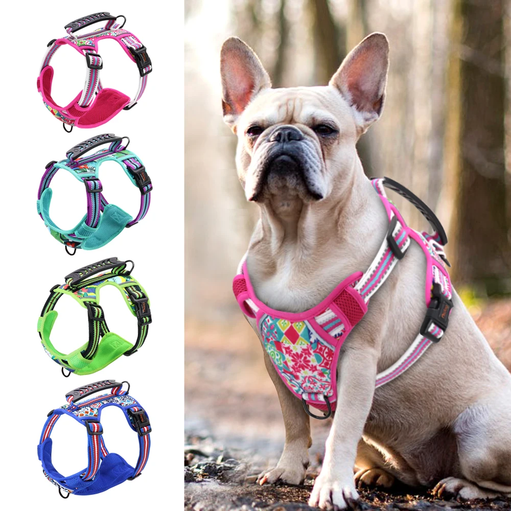 Breathable French Bulldog Harness Vest With Handle Nylon Reflective Mesh Pet Dog Harness Adjustable For Medium Large Dog Pitbull
Breathable French Bulldog Harness Vest With Handle Nylon Reflective Mesh Pet Dog Harness Adjustable For Medium Large Dog Pitbull