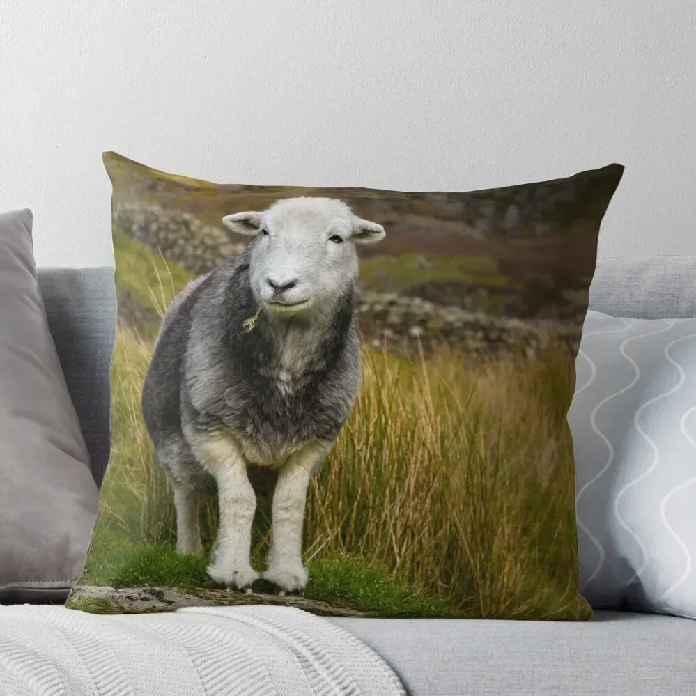 Наволочка Herdwick Sheep наволочка для дивана рождественские чехлы гостиной подушки