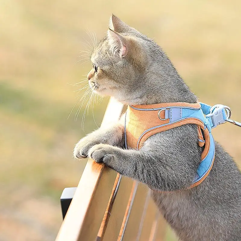 Cat Traction Rope Home Vest-Style Chest Harness Cute Anti-Stroke Cat Walking Rope
Cat Traction Rope Home Vest-Style Chest Harness Cute Anti-Stroke Cat Walking Rope