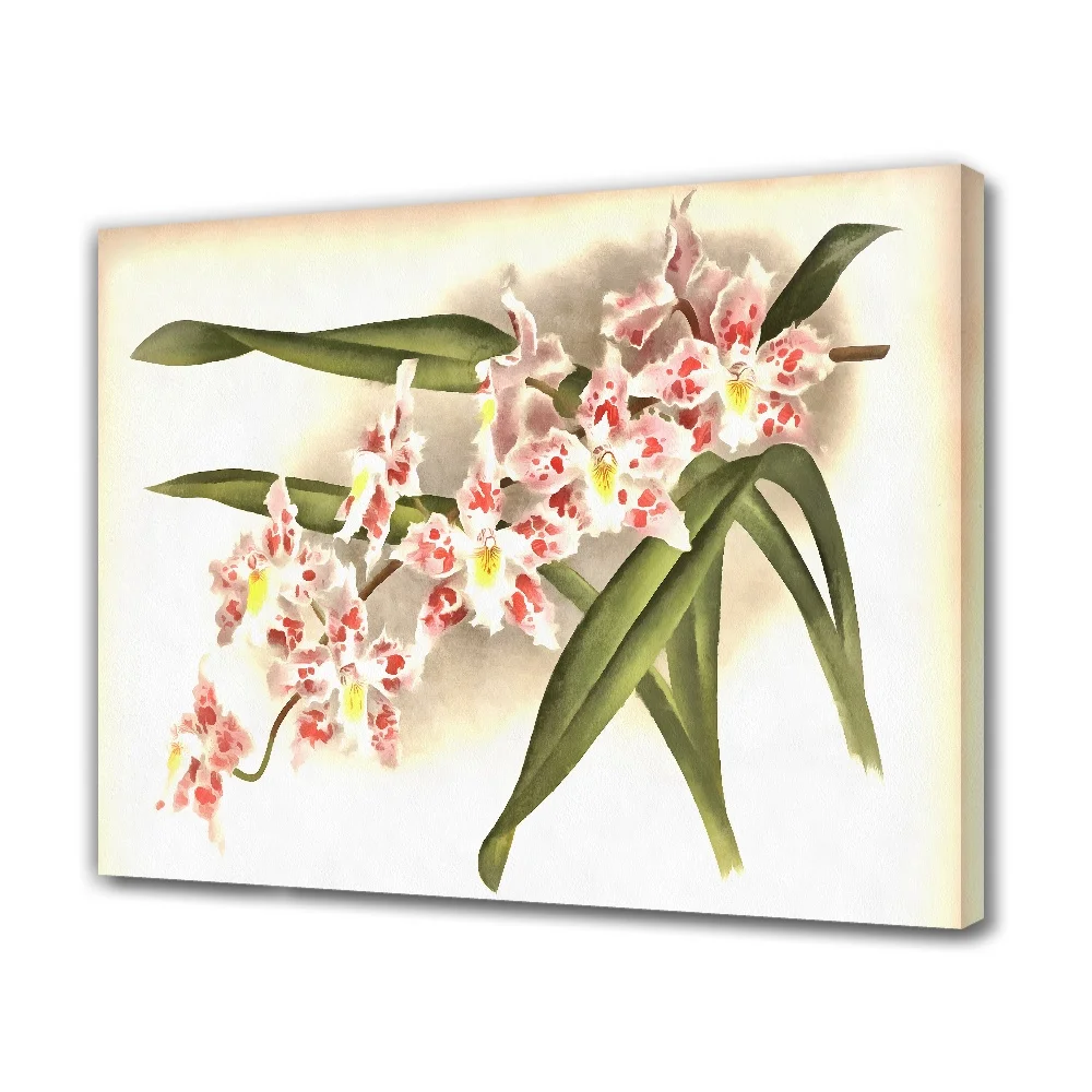 Forbeauty Pink Flowers Green Leaves Yellow Pistil Framed Gallery Canvas Painting Colorful Vase Antique For Home Decoration
Forbeauty Pink Flowers Green Leaves Yellow Pistil Framed Gallery Canvas Painting Colorful Vase Antique For Home Decoration