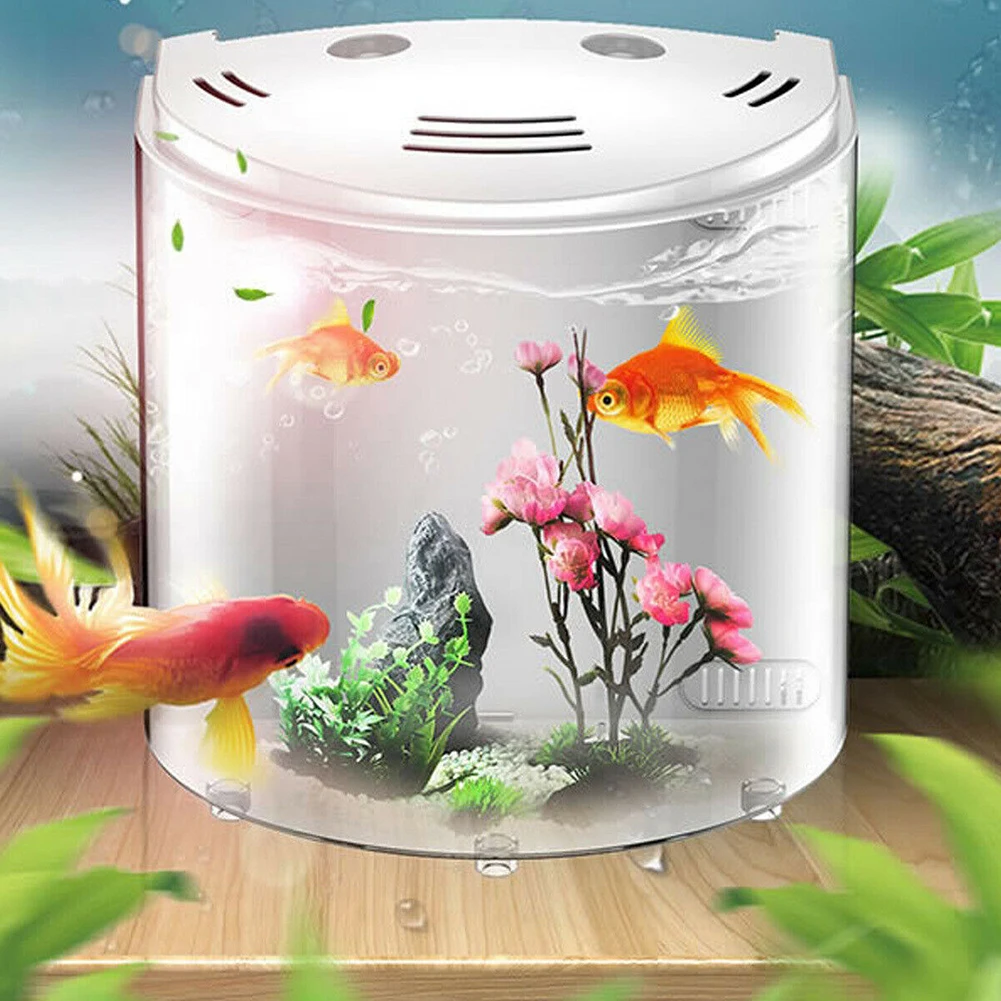 5L Living Room Office Home Decor Electronic Breeding Portable Desktop Fish Tank Mini Aquarium 180 Degree Open Filtration USB LED
5L Living Room Office Home Decor Electronic Breeding Portable Desktop Fish Tank Mini Aquarium 180 Degree Open Filtration USB LED