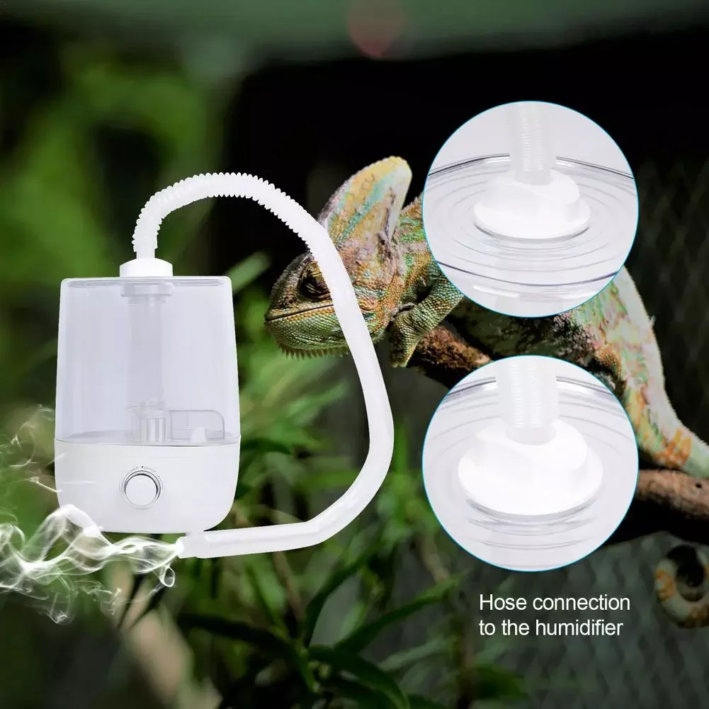 NEW2023 Climbing Pet Humidifier With Tube Large-Capacity Air Vaporizer Water Tank Fog Machine For Snake Turtle Lizard
NEW2023 Climbing Pet Humidifier With Tube Large-Capacity Air Vaporizer Water Tank Fog Machine For Snake Turtle Lizard