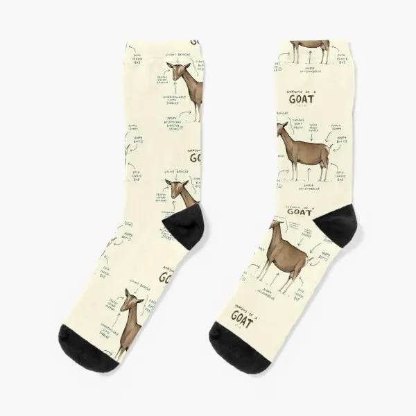 Anatomy Of A Goat Crew Socks Black Winter Women Breathable Pattern Mens Cotton Funny Short Unisex Best Girls Comfortable Ladies
Anatomy Of A Goat Crew Socks Black Winter Women Breathable Pattern Mens Cotton Funny Short Unisex Best Girls Comfortable Ladies