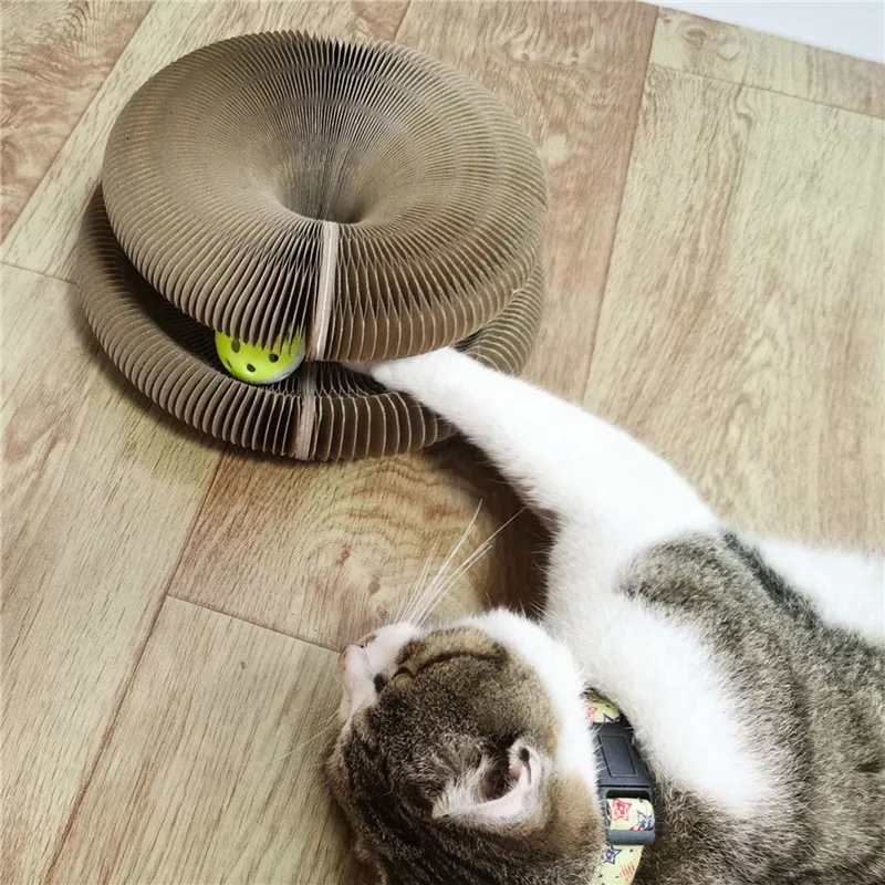 Magic Organ Cat Scratch Board Cat Toy With Bell Cat Grinding Claw Cat Climbing Frame Cat Scratch Toy Cat Scratcher Lounge Bed
Magic Organ Cat Scratch Board Cat Toy With Bell Cat Grinding Claw Cat Climbing Frame Cat Scratch Toy Cat Scratcher Lounge Bed
