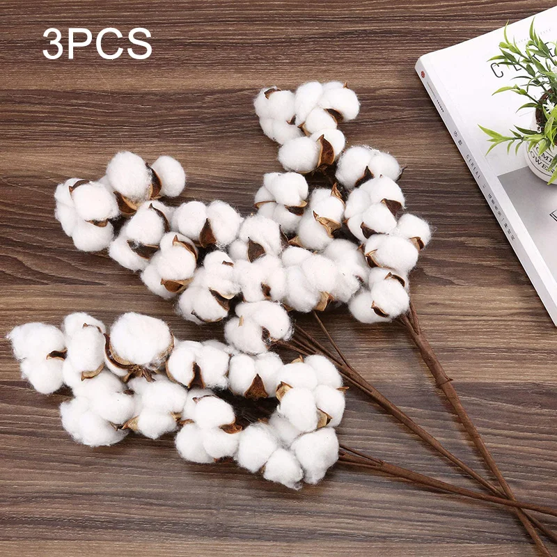 10 Pcs Naturally Dried Cotton Flower Artificial Plants Floral Branch For Wedding Party Decoration Fake Home Decor Naturales
10 Pcs Naturally Dried Cotton Flower Artificial Plants Floral Branch For Wedding Party Decoration Fake Home Decor Naturales