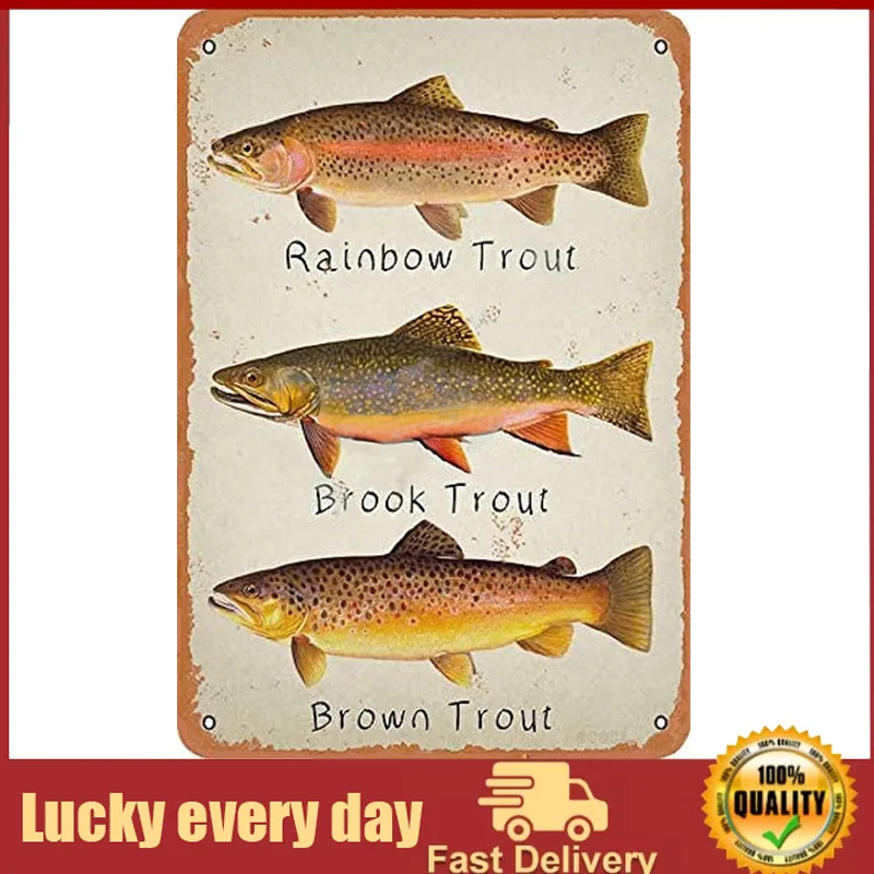 Rainbow Trout Brook Trout Brown Trout Retro Metal Decor Wall Plaque Vintage Tin Sign for House Cafe Club Home Or Bar room decor 
Rainbow Trout Brook Trout Brown Trout Retro Metal Decor Wall Plaque Vintage Tin Sign for House Cafe Club Home Or Bar room decor