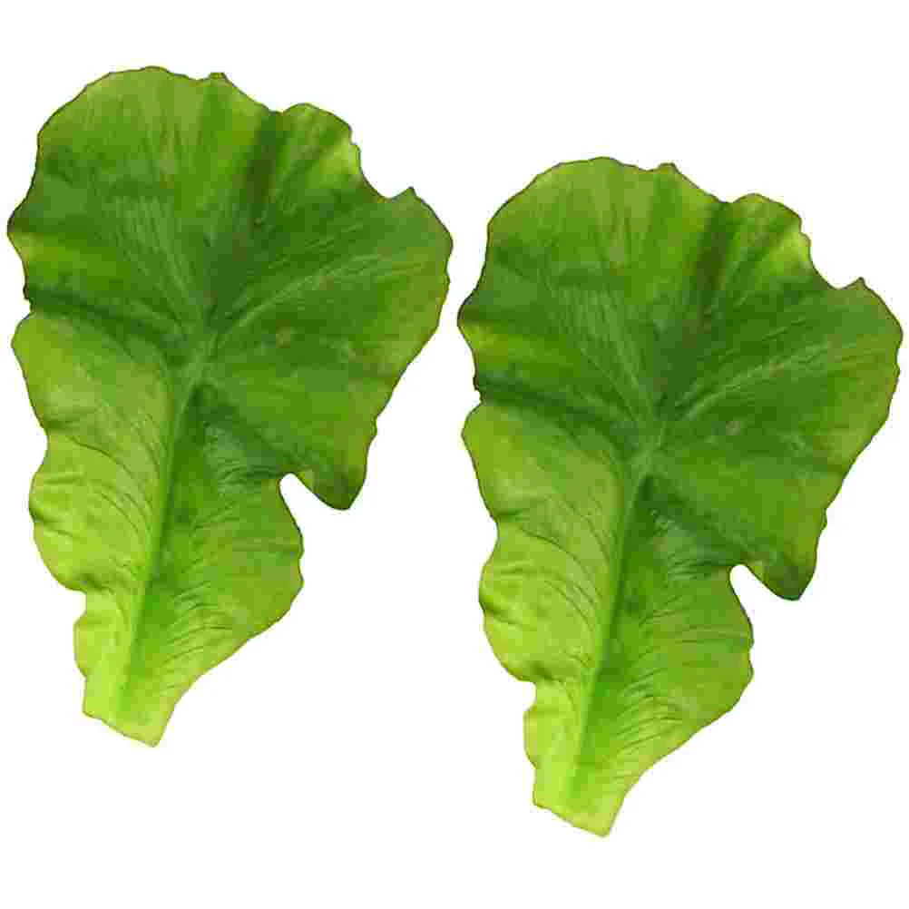 2Pcs Vegetable Artificial Vegetable Decors Vegetable Leaf Photo Props Vegetable Leaf Crafts for Photo
2Pcs Vegetable Artificial Vegetable Decors Vegetable Leaf Photo Props Vegetable Leaf Crafts for Photo