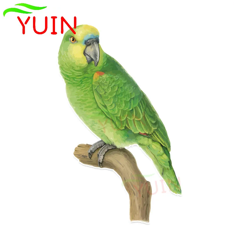 Unique Green Parrot In PVC Colored Decor Car Sticker Personalized High Quality Applique Auto Accessories Waterproof Decal 15*9cm
Unique Green Parrot In PVC Colored Decor Car Sticker Personalized High Quality Applique Auto Accessories Waterproof Decal 15*9cm