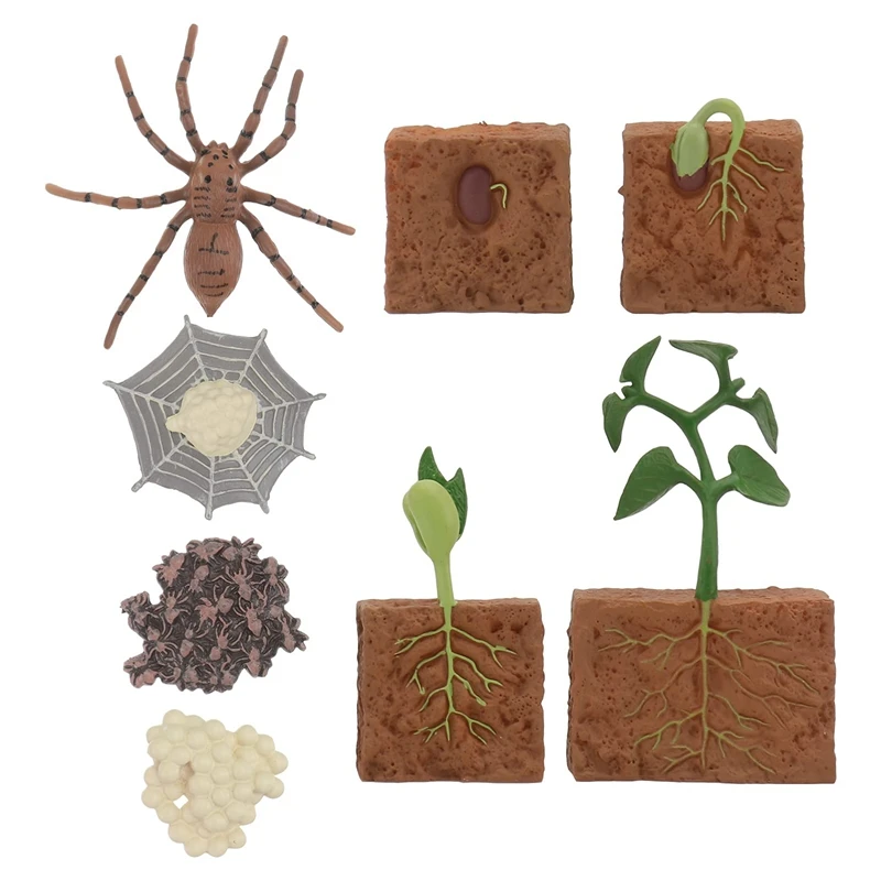 8 Pcs Spider Growth Cycle Animal Growth Cycle Biological Model Toys Kids Cognitive Animal Figures Educational Kit
8 Pcs Spider Growth Cycle Animal Growth Cycle Biological Model Toys Kids Cognitive Animal Figures Educational Kit