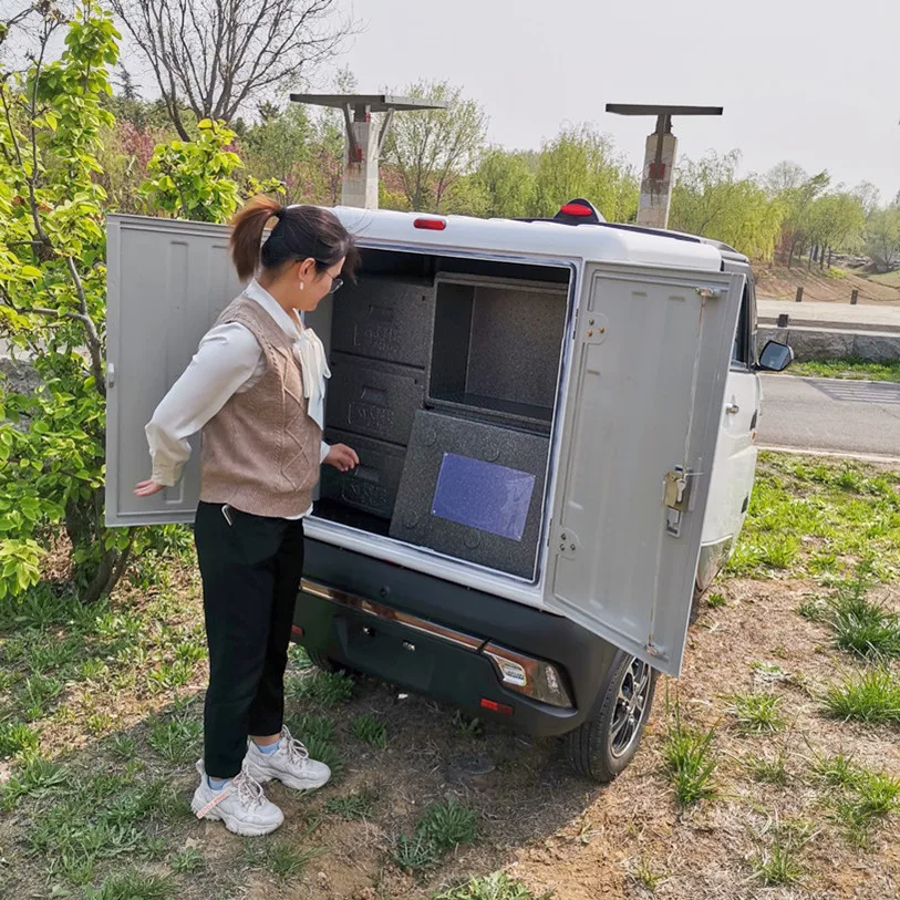 3 Wheel E-car High Quality Light Duty Cargo / Lorry For Sale Truck Electric Cars
3 Wheel E-car High Quality Light Duty Cargo / Lorry For Sale Truck Electric Cars