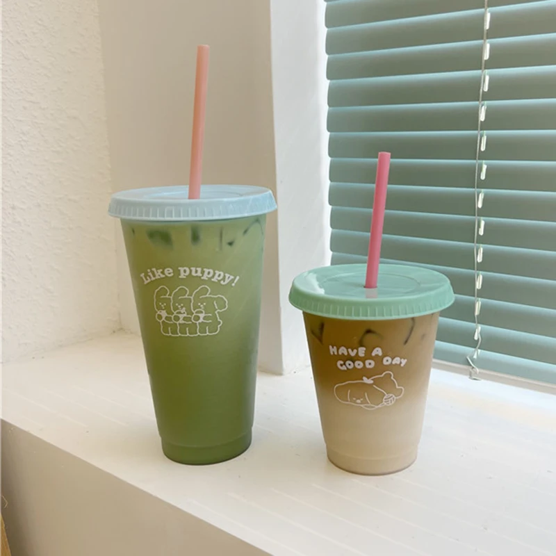 

470-700ml Cute Water Bottle For Coffee Juice Milk Tea Plastic Cold Cups With Lid Straw Reusable Cups Portable Drinking Bottle
