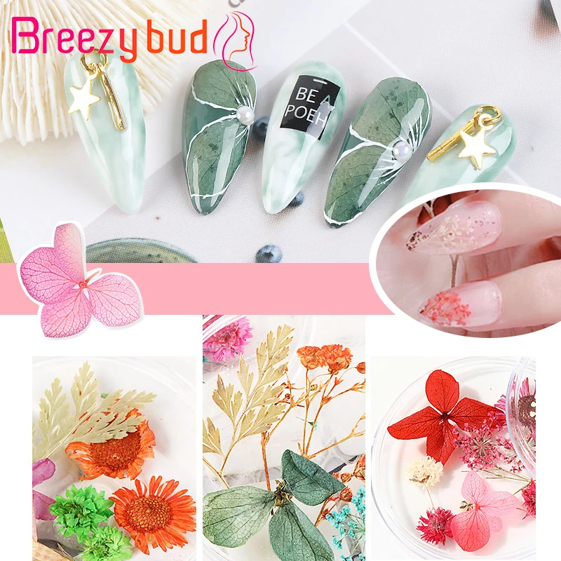 Boxed Dried Flower Nail Art Set Mixed Natural Floral Nail Sticker UV Gel Nails Decorations DIY Manicure Decors
Boxed Dried Flower Nail Art Set Mixed Natural Floral Nail Sticker UV Gel Nails Decorations DIY Manicure Decors