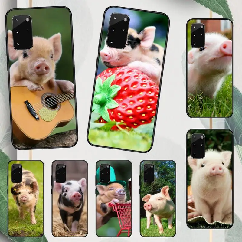 Cute Pink Pet Little Pig animal Phone Case For Samsung galaxy A S note 10 12 20 32 40 50 51 52 70 71 72 21 fe s ultra plus
Cute Pink Pet Little Pig animal Phone Case For Samsung galaxy A S note 10 12 20 32 40 50 51 52 70 71 72 21 fe s ultra plus